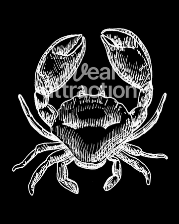 Stone Crab
