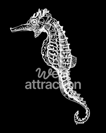Pacific Seahorse