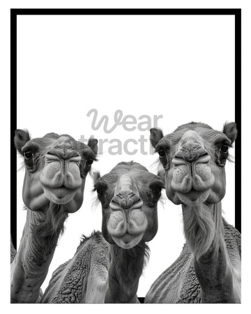 Triple Trouble Camels