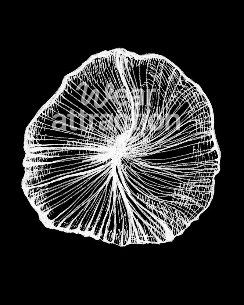 Mushroom Coral