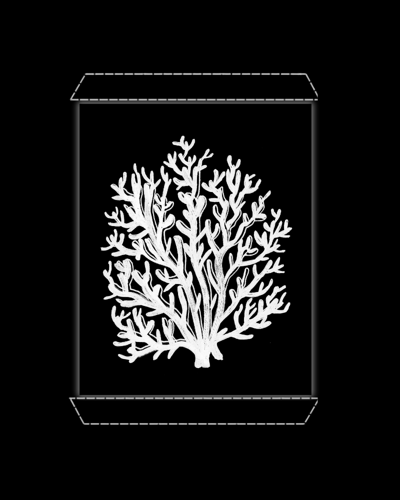 Tree Coral