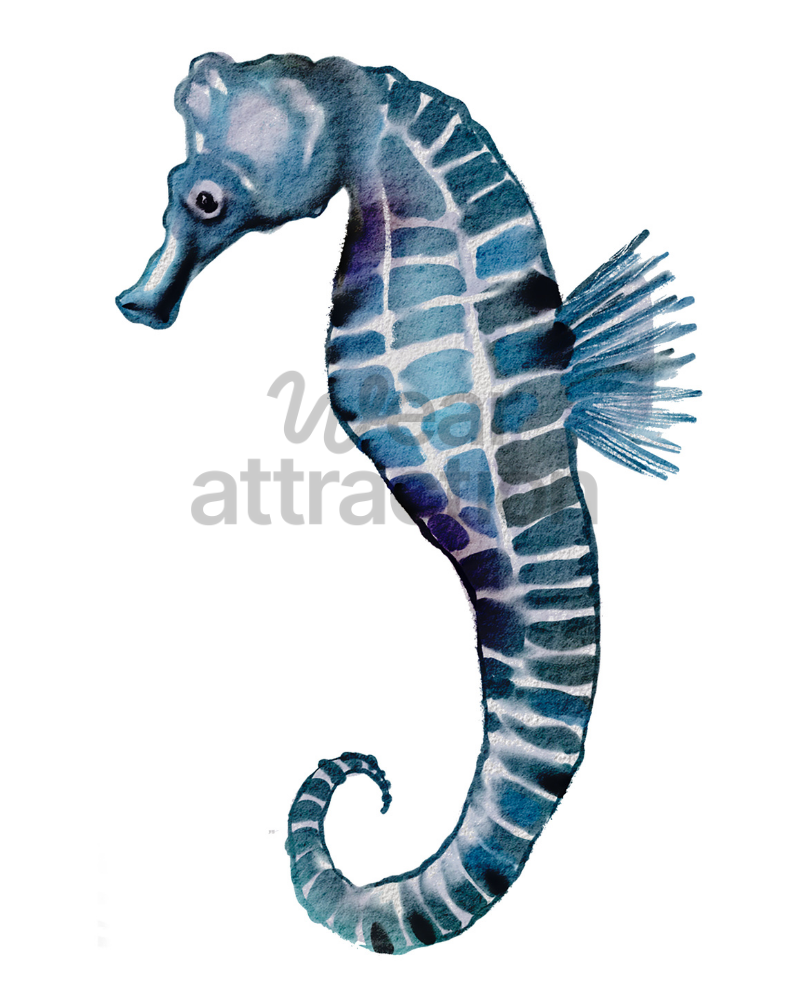 Azure Seahorse