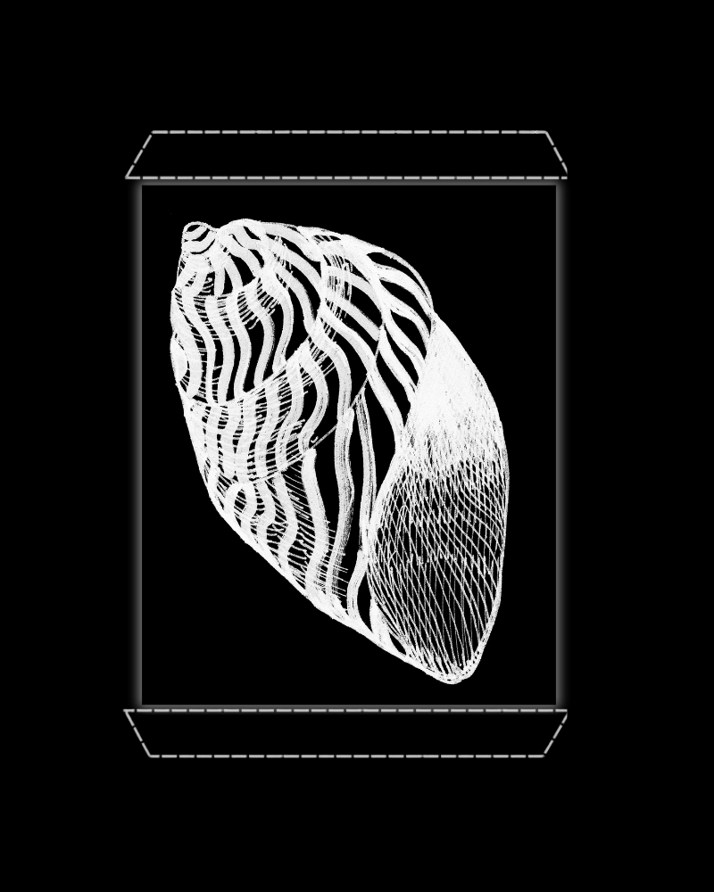 Zigzag Auger Shell