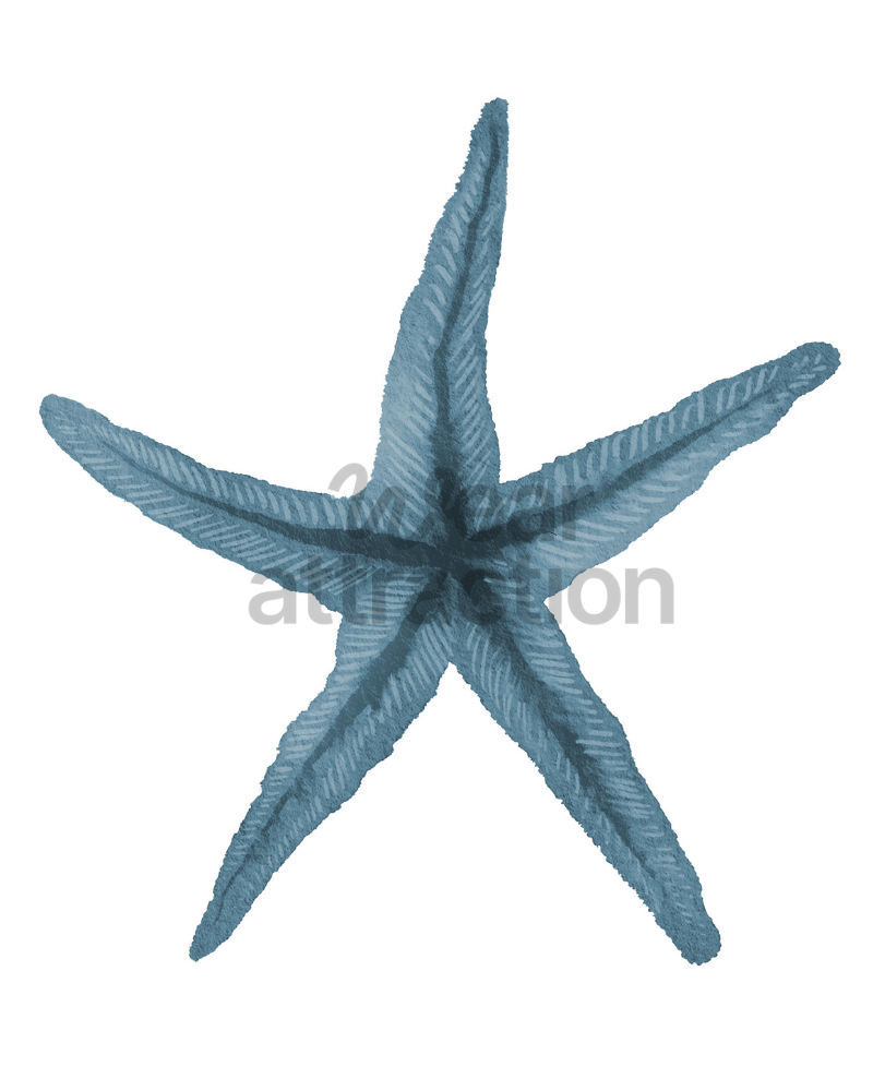 Blue Starfish