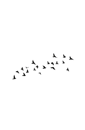 Bird Flock