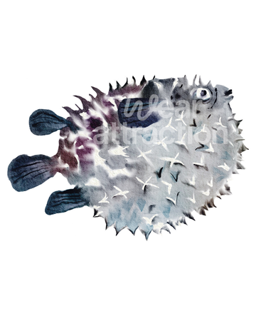 Porcupinefish