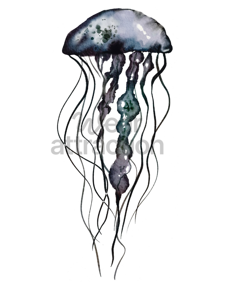 Moon Jelly