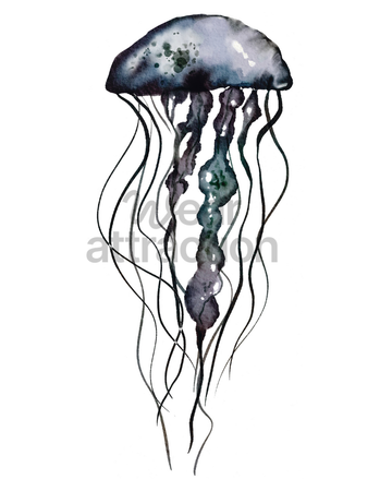 Moon Jelly