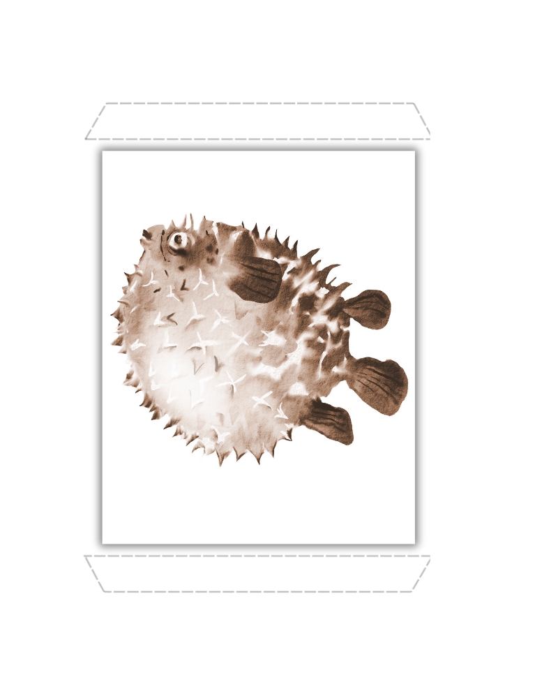 Brown Porcupinefish