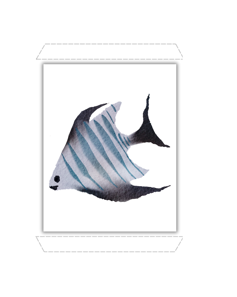 Striped Angelfish