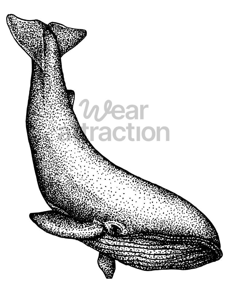 Blue Whale Breach