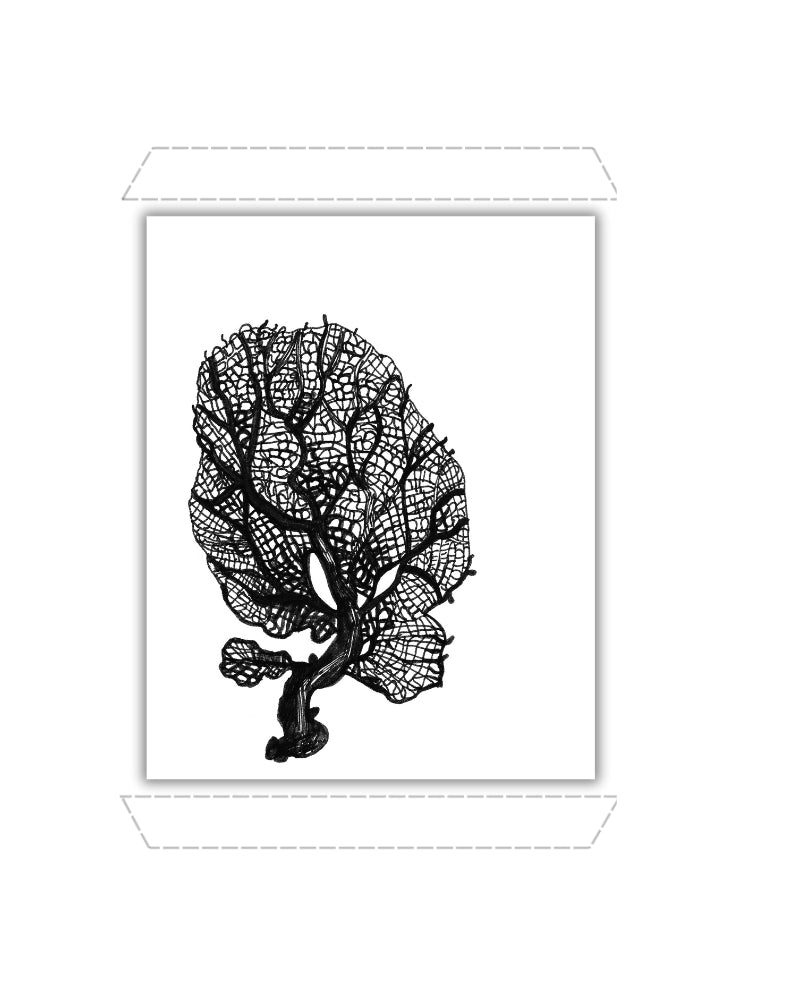 Gorgonia Fan Coral